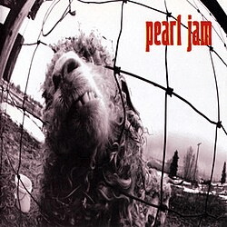 Pearl Jam – Vs. (1993) Album Review #1 | Nick & Tiff Music&nbsp;Blog